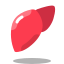 liver